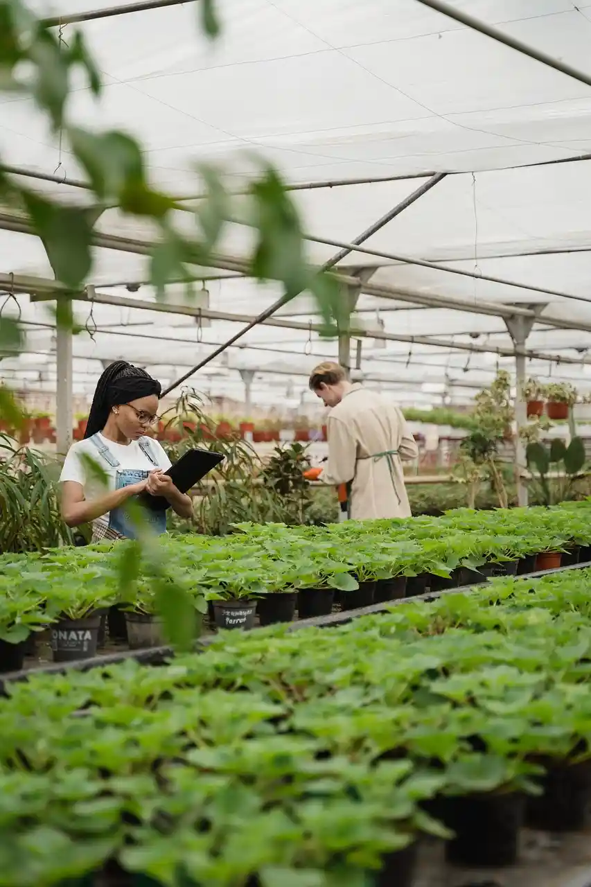 Premier Garden Centers at work