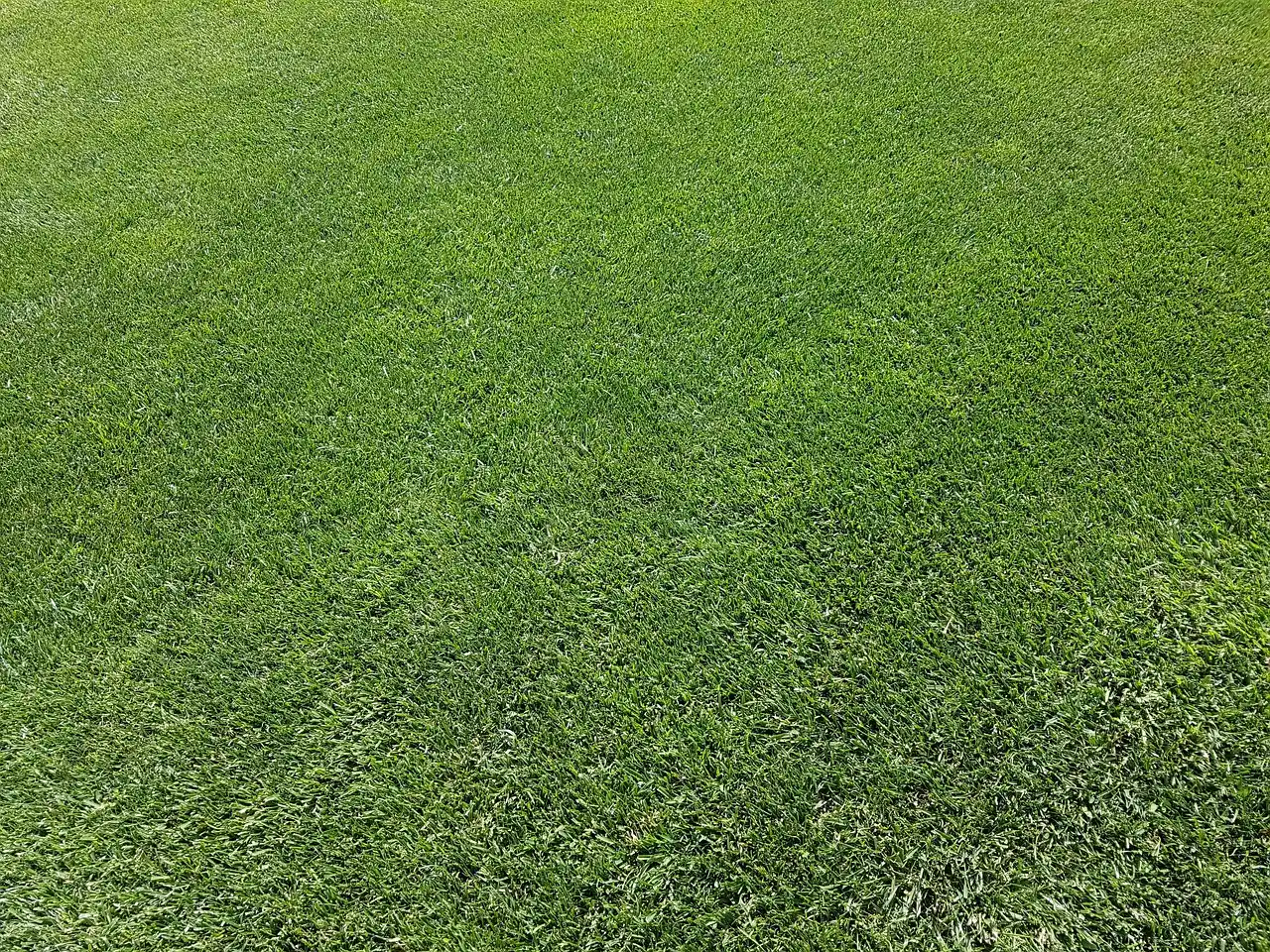 Premier Lawn Services at work