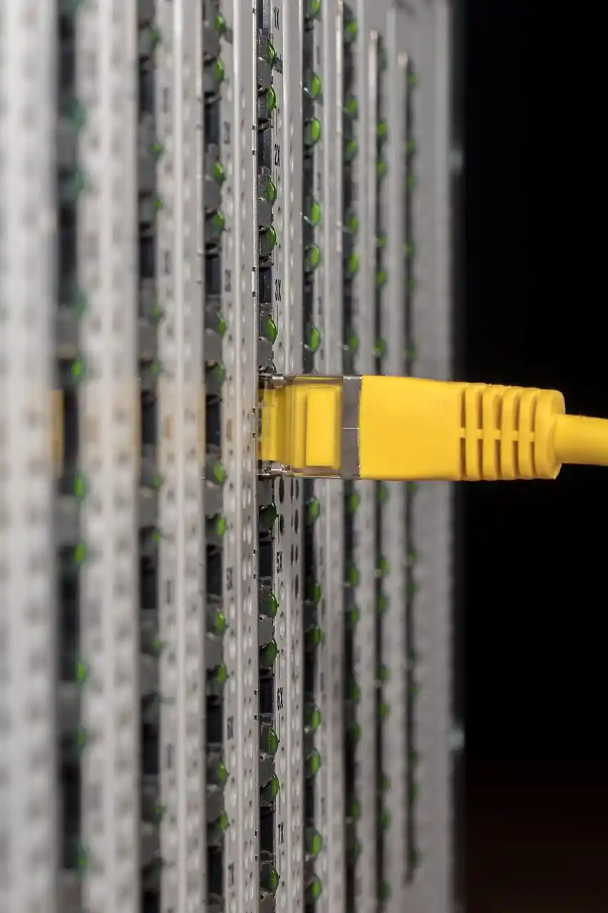 Premier Process Servers at work