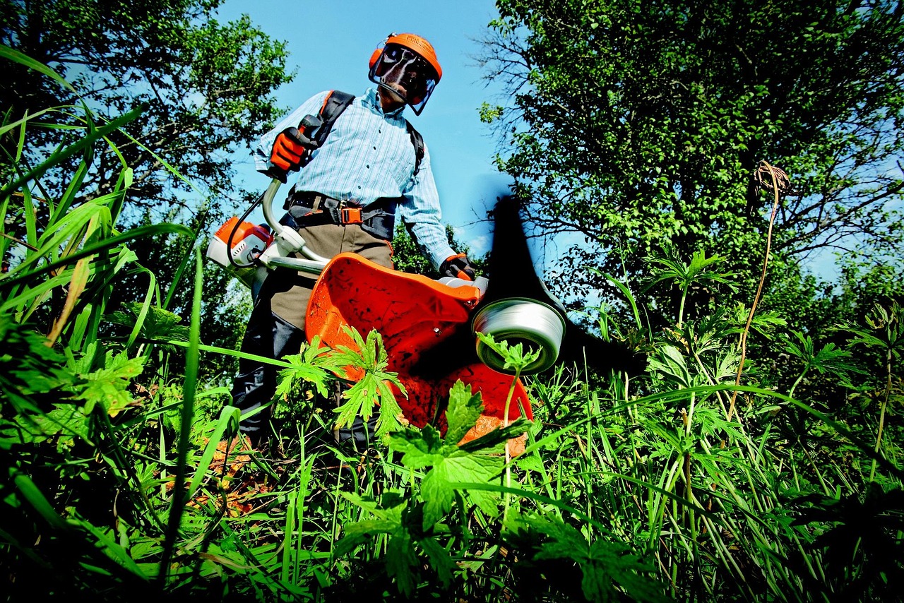 Lawn Maintenance