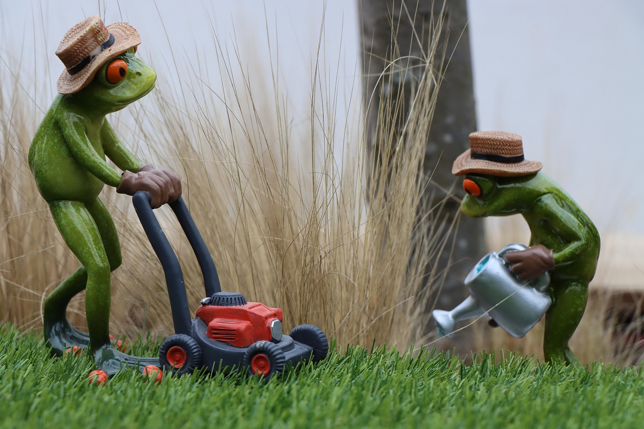 Lawn Services