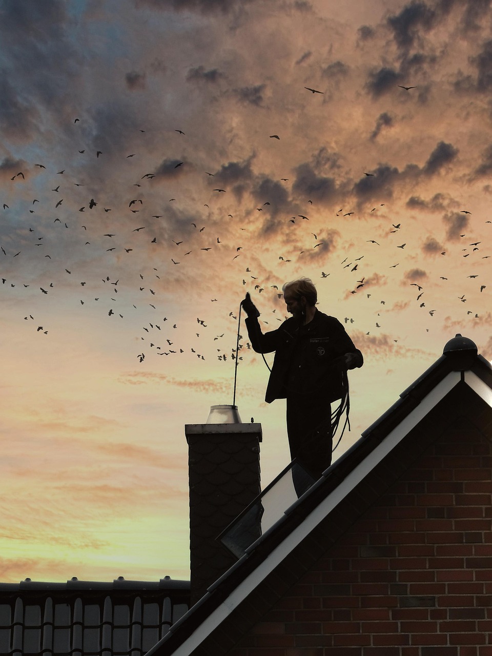 Roof Cleaning