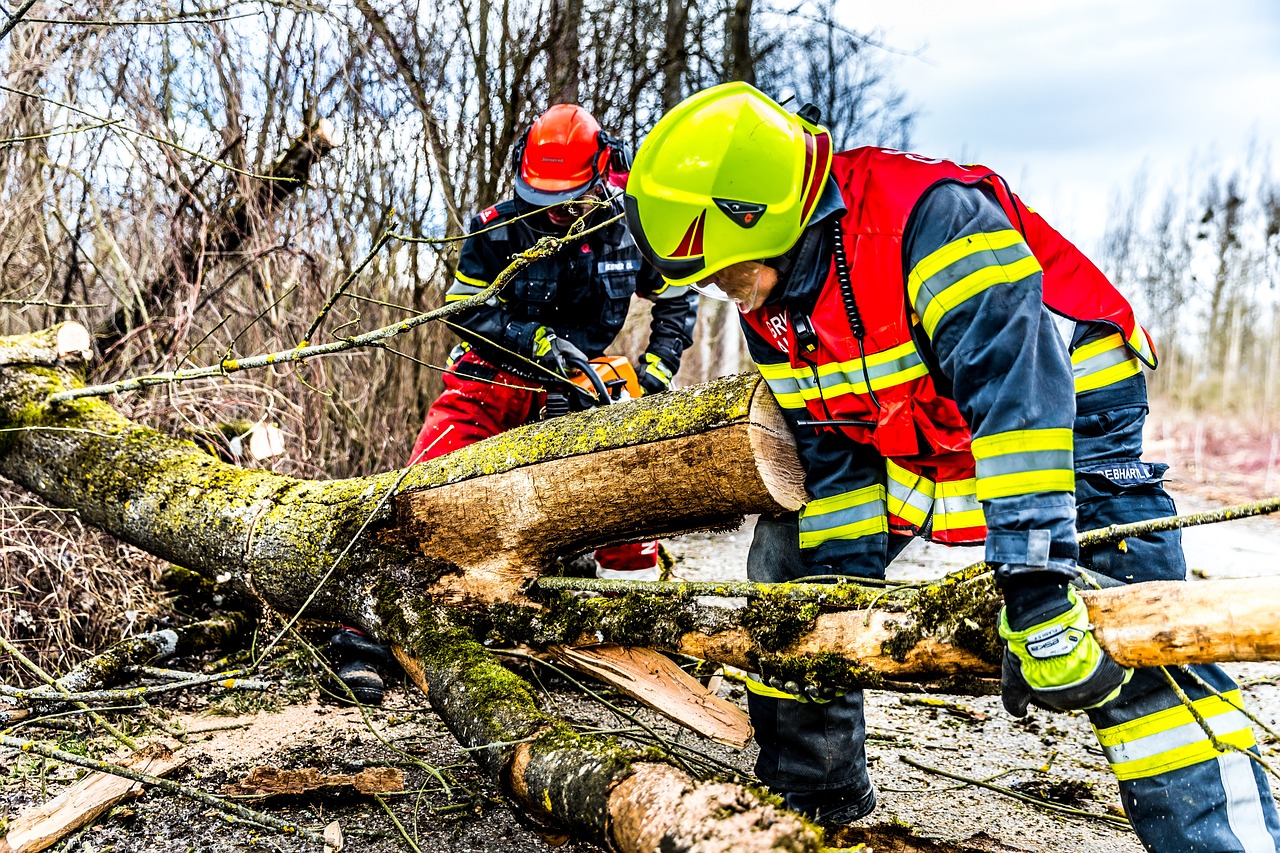 Tree Service